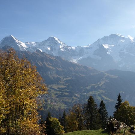 Bel-Air Eden Hotel Grindelwald Exterior photo