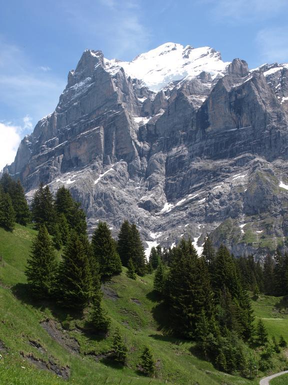 Bel-Air Eden Hotel Grindelwald Exterior photo